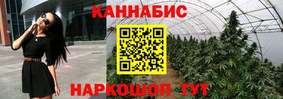 каннабис Гатчина