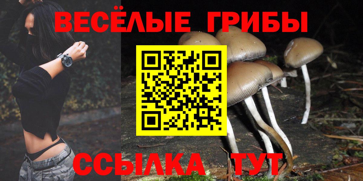 Гай  Галлюциногенные грибы прущие грибы  Вход с VPN  Галлюциногенные грибы Magic Shrooms 